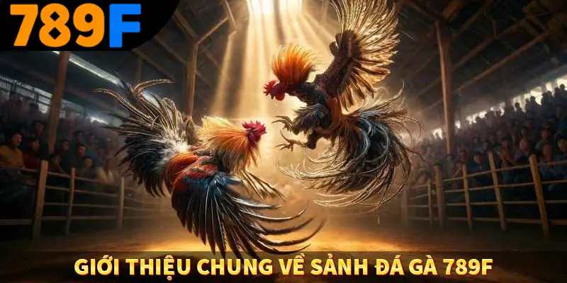 Giới thiệu chung về sảnh đá gà 789F Giới thiệu chung về sảnh đá gà 789F