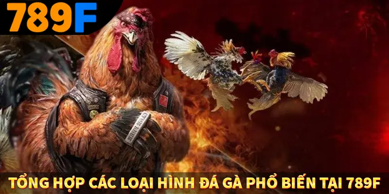 Tổng hợp các loại hình đá gà phổ biến tại 789F Tổng hợp các loại hình đá gà phổ biến tại 789F