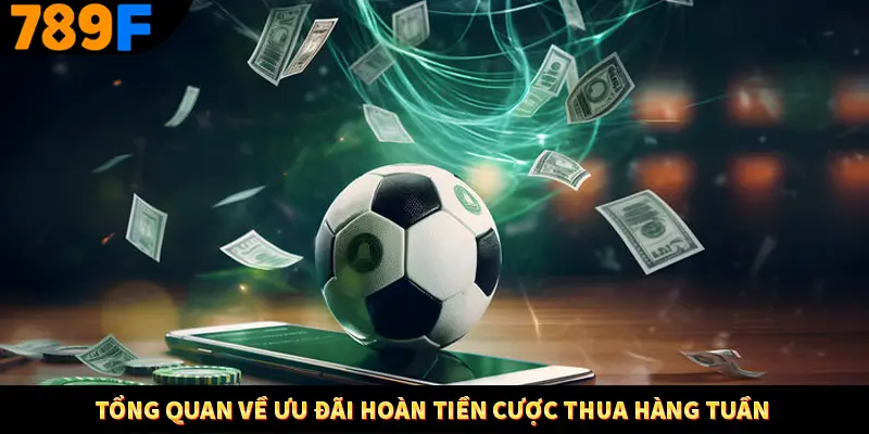 Thưởng Vip Cho Thành Viên Lâu Năm Tại Nhà Cái 789F 1 Tổng quan về ưu đãi hoàn tiền cược thua hàng tuần