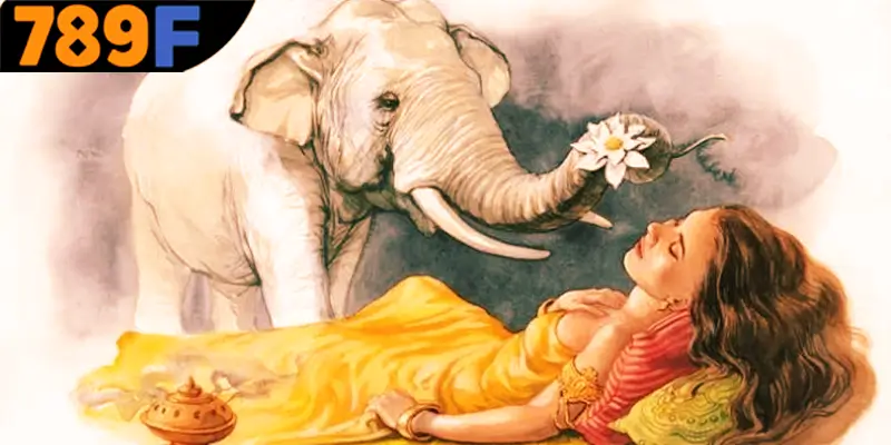 Mơ Thấy Ô Tô Đánh Số Gì - Luận Giải Chiêm Bao Với 789F 1 Đôi nét về việc mơ thấy con voi