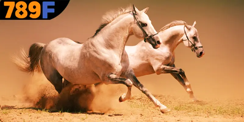 Giải mã thông tin chi tiết về việc mơ thấy ngựa đánh số gì?