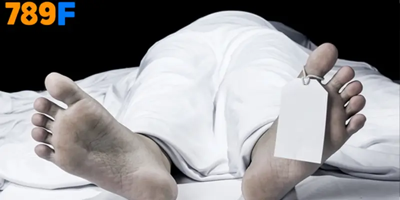 Mơ Thấy Ô Tô Đánh Số Gì - Luận Giải Chiêm Bao Với 789F 3 Mơ thấy người chết đánh số gì từ 789F