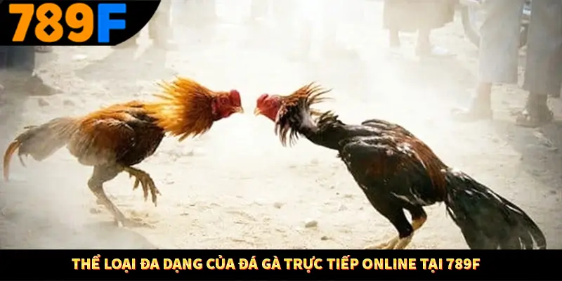 Thể loại đa dạng của đá gà trực tiếp online tại 789F Thể loại đa dạng của đá gà trực tiếp online tại 789F