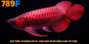 Mơ Thấy Cá Đánh Số Gì - Giải Đáp Bí Ẩn Đằng Sau Từ 789F