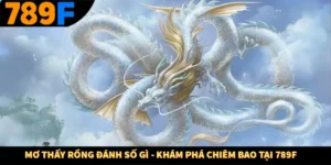 Mơ Thấy Rồng Đánh Số Gì - Khám Phá Chiêm Bao Tại 789F