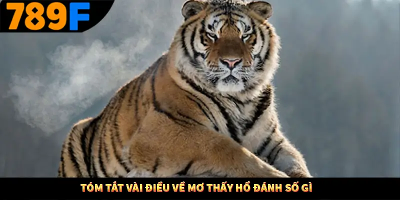 Tóm tắt vài điều về mơ thấy hổ đánh số gì