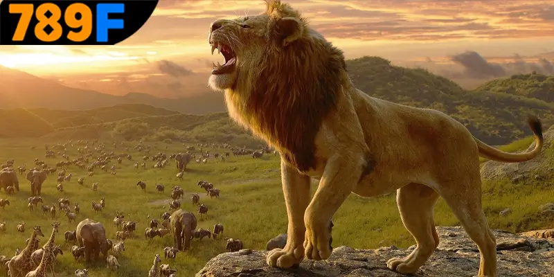 Mơ Thấy Ô Tô Đánh Số Gì - Luận Giải Chiêm Bao Với 789F 1 Ý nghĩa quan trọng về việc mơ thấy con sư tử đánh số gì?