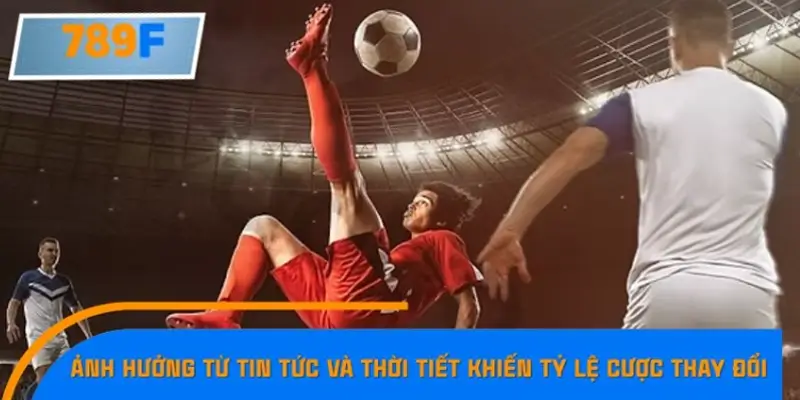 Ảnh hưởng từ tin tức và yếu tố thời tiết