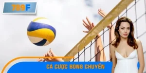 Cá Cược Bóng Chuyền Lên Ngôi Tại SEA Games