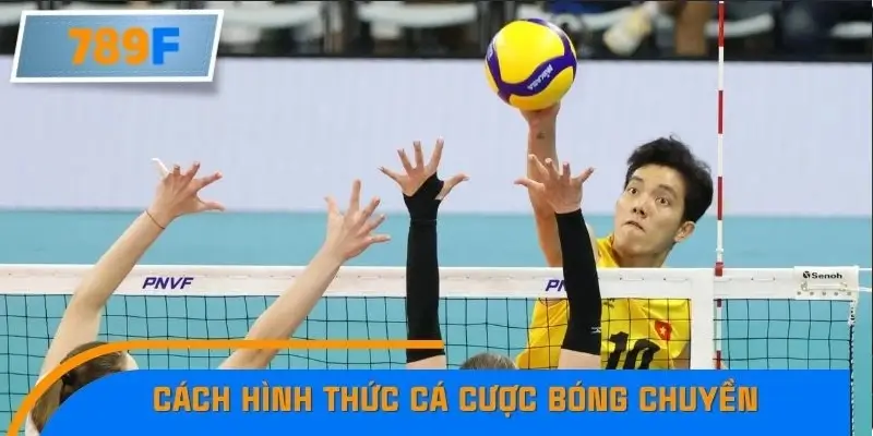 Cách hình thức cá cược bóng chuyền
