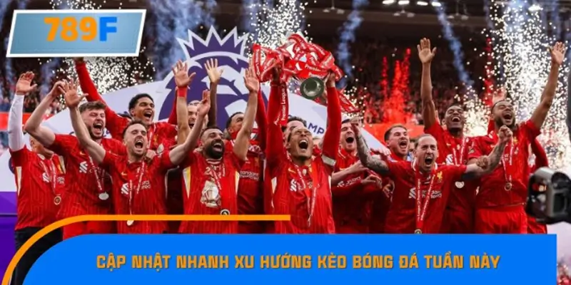 Cập nhật nhanh xu hướng kèo bóng đá tuần này