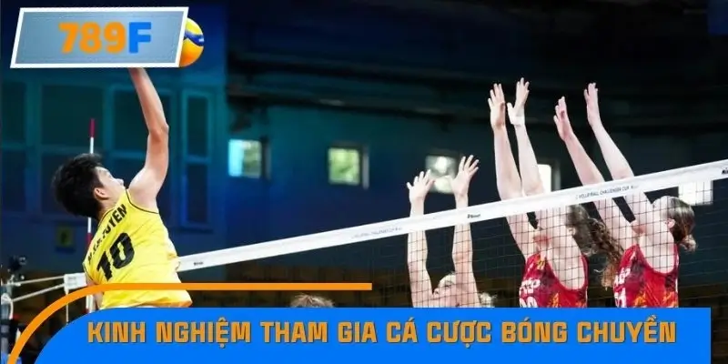 Kinh nghiệm để tham gia cá cược bóng chuyền hiệu quả