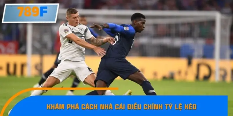 Tìm hiểu quy trình nhà cái điều chỉnh tỷ lệ kèo Tìm hiểu quy trình nhà cái điều chỉnh tỷ lệ kèo