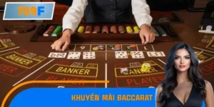 Tin Tức Các Nhà Cái Tung Khuyến Mãi Baccarat Hấp Dẫn