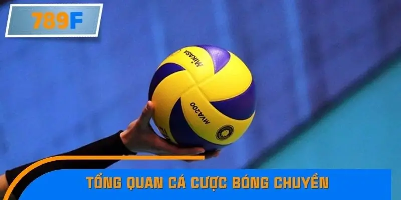 Tổng quan cá cược bóng chuyền